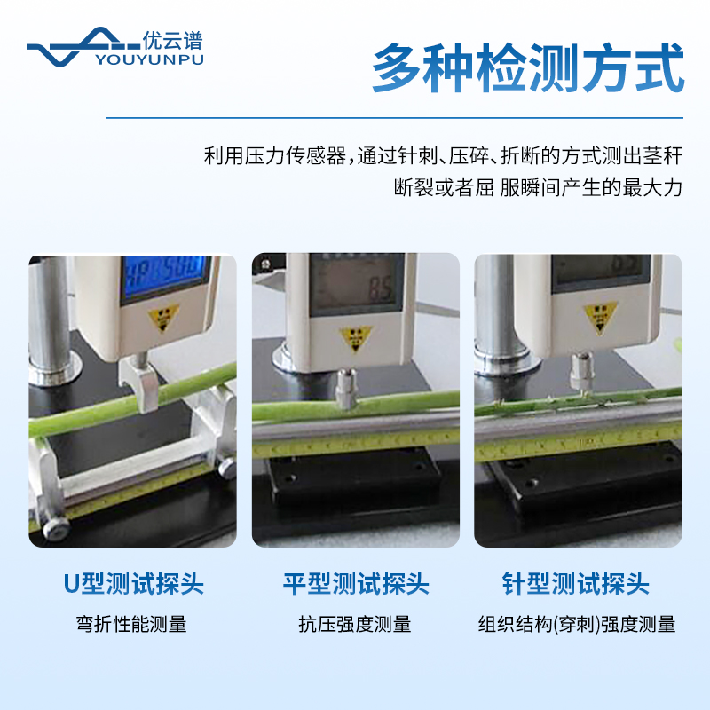 植物莖桿強(qiáng)度測(cè)定儀