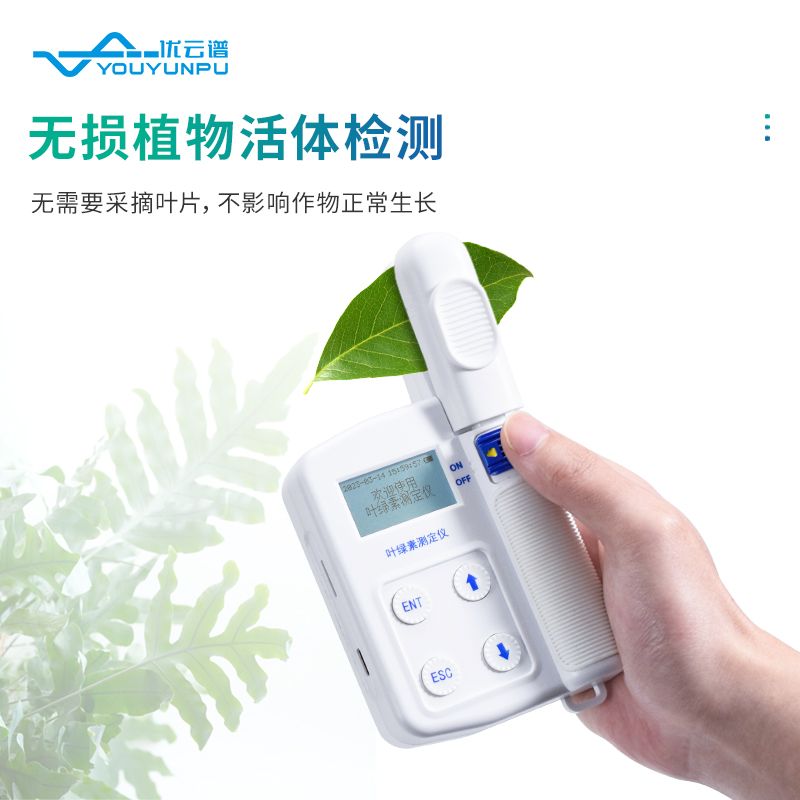 葉綠素儀